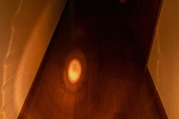懐中電灯で照らされた暗い廊下の床
