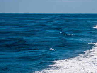 Atlantik © Sulamith Sallmann