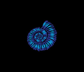 A mollusk. Logo template in a beautiful design.