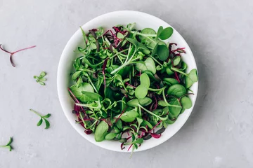  Microgreens. Superfood microgreen sprout mix in bowl on gray stone background. © nblxer