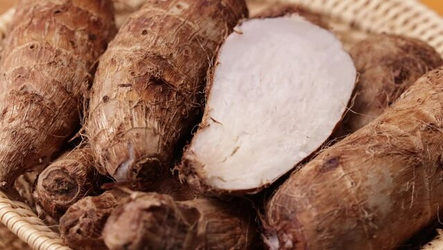 fresh organic taro root rotation	