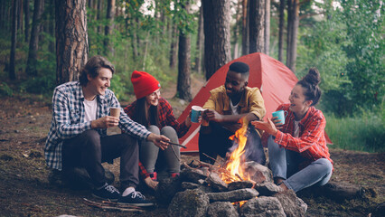 multiracial group of friends Caucasian and African American are sitting in wood around fire with glasses, talking and smiling, bright flame is moving. - 541697009