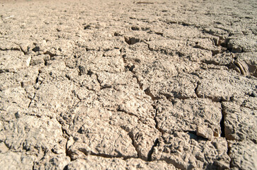 Tierra seca agrietada pantano. Sequía, textura.