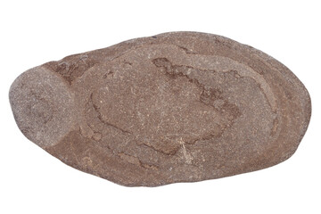 Top view of single brown pebble