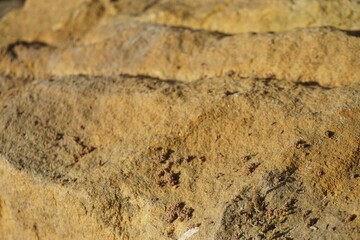 Gelbbraune gewölbte Sandsteinfläche mit Muster bei Sonne am Mittag im Herbst