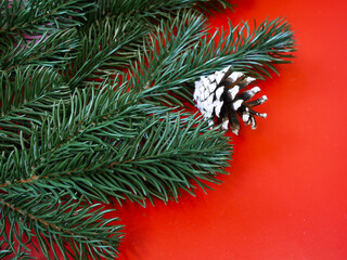 A branch with a white spruce cone lies on a red background. Merry Christmas and Happy New Year 2023. Background for congratulations on the holiday