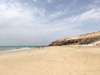 beach and sea Fuertuventura 