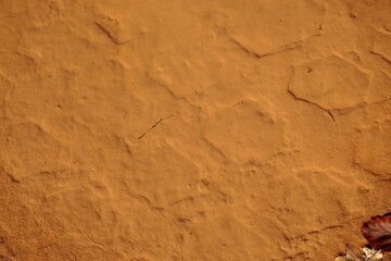 Goldbraune nasse Erdbodenfläche mit Muster und rotbraunem Laubblatt 