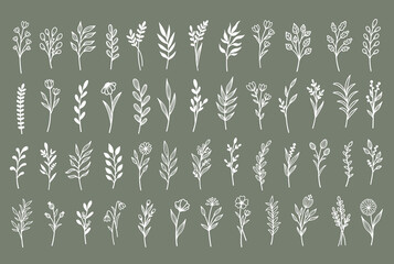 Vector set template for laser cutting and Plotter. Set of branches with flowers and leaves. Plants for decoration. White objects on a background.
