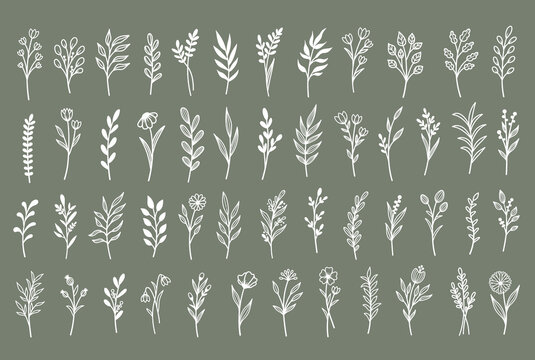 Vector set template for laser cutting and Plotter. Set of branches with flowers and leaves. Plants for decoration. White objects on a background.
