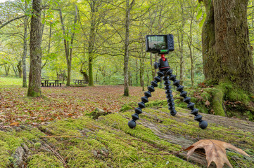 A compact photo camera mounted on a lightweight travel tripod