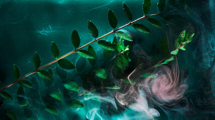 Abstract green background with leaves and paints in water. Backdrop for perfume, cosmetic products