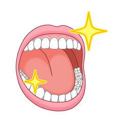 健康な人間の口