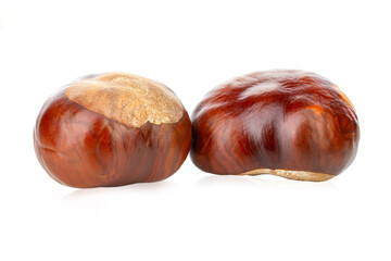 Horse-chestnut (Aesculus) fruits isolated on white background.