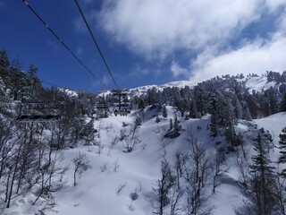 Subiendo telesilla con esquiadores por bosque nevado.