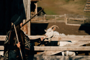 A young beautiful woman feeds a goat behind a fence