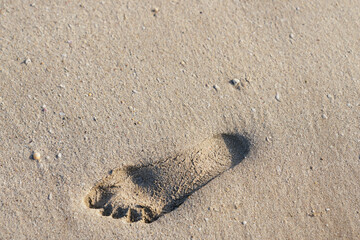 A footprint in the sand on the beach