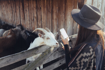 Woman takes a photo of a goat on her smartphone.