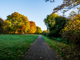 Naklejka premium autumn in the park
