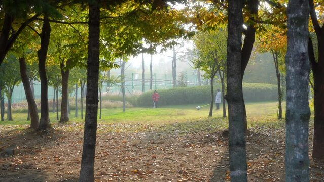 a woman who exercises on an autumn day