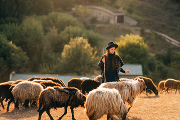 Female shepherd and flock of sheep at a lawn - 541707884
