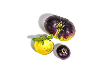 Yellow-violet Tomatoes variety Primary colors isolated on white background