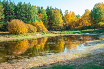 Fototapeta na wymiar autumn landscape. autumn forest near the lake. reflection of the autumn lion in the lake