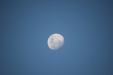 full moon at afternoon with light blue sky background