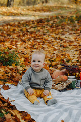 baby child playing with autumn leaves