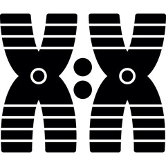 Chromosome Icon