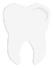 Obraz premium Whole white tooth with root