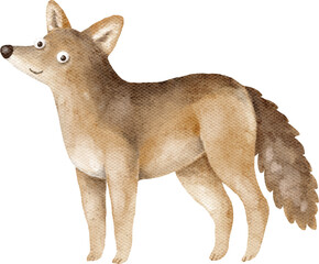 Wolf character illustration