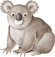 Koala character illustration