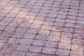Rock salt on paving slabs in winter. Sprinkled salt on icy sidewalk. Treatment with salt of roads...