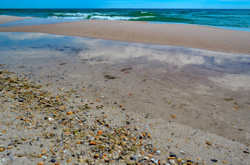 Shell Hunting, Sunday morning walk on the beach, Alabama Point, Orange Beach, Alabama