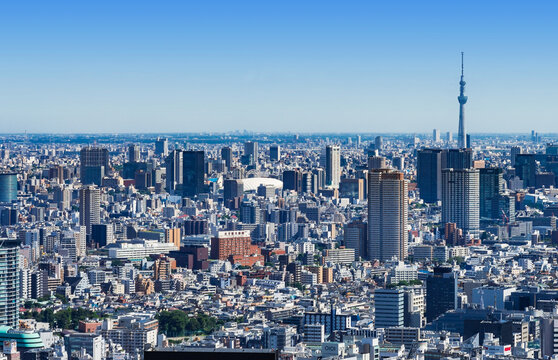 都庁から眺める東京都市風景