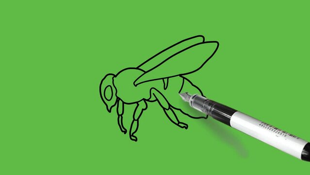 Draw bee insect in blue color combination with black outline on abstract green background

