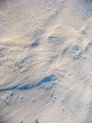 Patterns in the sand, between Intracoastal Waterway and East Mouth of Old River, between Orange Beach, Alabama & Pensacola, Florida