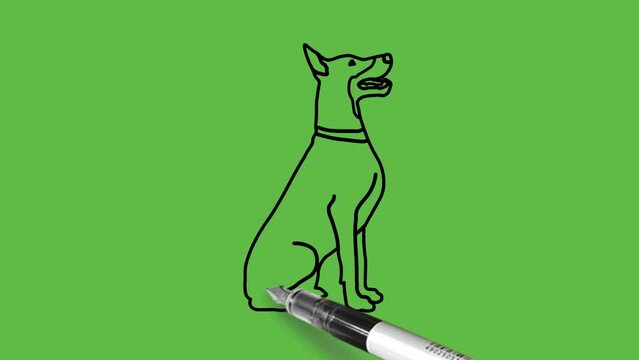 Draw dog sitting on its back paws with black outline on abstract green background
