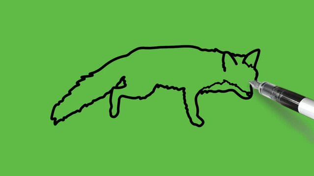 Draw fox or vixen called wild dog in blue color combination with black outline on abstract green background
