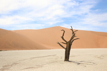 Désert Namibie