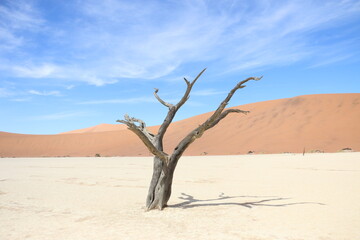 Désert Namibie