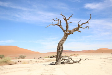 Fototapeta na wymiar Désert Namibie