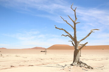 D&eacute;sert Namibie