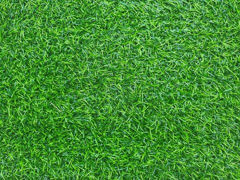 Artificial Grass Field Top View Texture