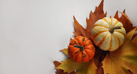 Fall pumpkins and autumn leaves on white background. Thanksgiving, Halloween