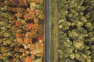 For&ecirc;t vu du dessus avec un drone, avec une route traversant la photo de haut en bas durant l'automne