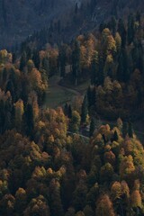 Beautiful autumn mountain landscape