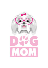 Pretty Shih Tzu in pink eyeglasses. Dog mom