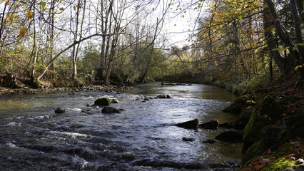 Fototapeta na wymiar kleiner Fluss in Bayern im Herbst